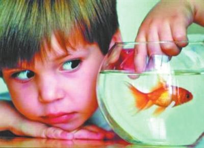 多动症的典型症状你清楚吗